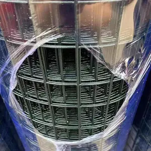 1.5-2米高绿色浸塑铁丝网 养殖、圈地、圈鸡鸭铁丝包胶荷兰网