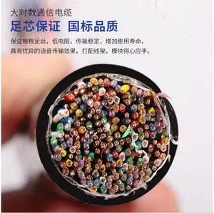 WDZ-HYA53-200*2*0.5��ȼͨ�ŵ��� ������ ZR-HYA23��װ����