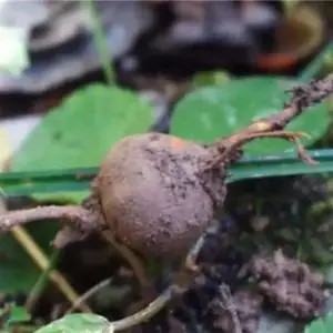 �����������ݽ�����ڲα��������������������_�����۸�