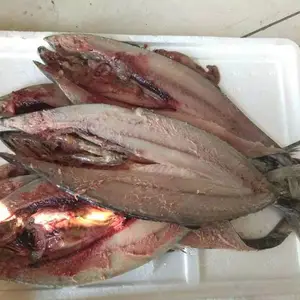 开背开肚开片机 杀鱼机去鱼内脏机 全自动杀鱼机