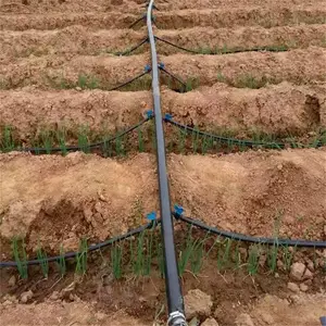 �㶫����豸��ȫ�ز�΢��ͷ����ũ���Զ����ϵͳ