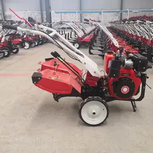 ��԰���������� ����186�Ϳ����� ���쿪��������