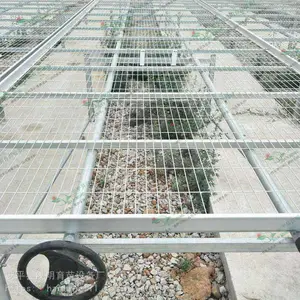 河南温室热镀锌苗床网常用的标准规格有哪些？
