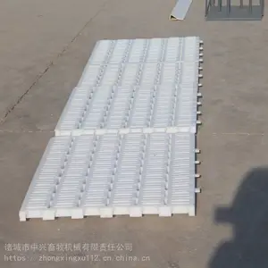 ������������©��� ����©���� �����������Ϸ��