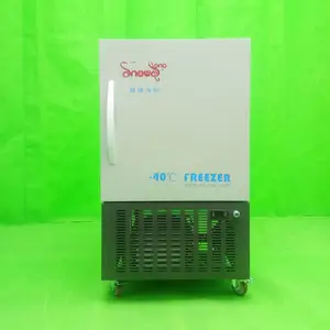 ��ѩDW-40L105 -40����ʽʵ���ҵ��±��� ���»���ʵ���豸