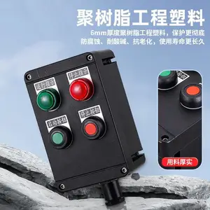 BZC-A2D2G����������������ʽ ������ť���Ǳ�������͵�Զ�̿���