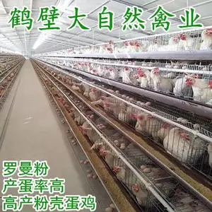 �����Ҽ��磬���꼦�����ɼ������¼������군���磬����ת��***
