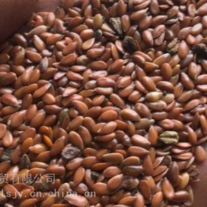 本地胡麻籽 亚麻籽 过机器,胡麻籽种 亚麻籽种
