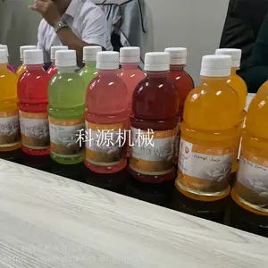全自动化中小型PET瓶装饮料生产线设备 饮料灌装机