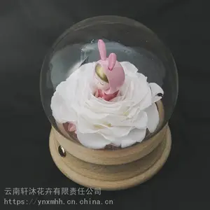 源头工厂轩沐永生花娃娃玻璃罩蓝牙音响情人节生日礼物推荐女朋友礼品