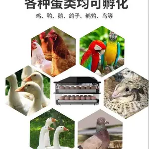 中禧 小型家用孵蛋机 全自动蛋类孵化器 多功能孵化机ZX-56