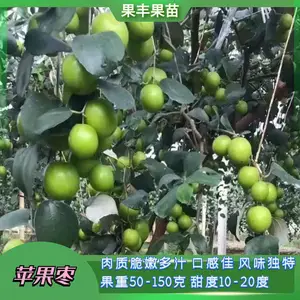 ̨ũ13��ѩ���棨���죩��ѩ��ƻ���棨���죩����