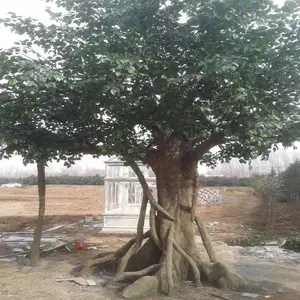 �����һ��� ˮ��ֽ���� ����װ�� �����ֻ�