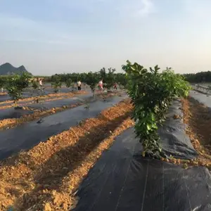 农业防草布