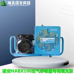 �ӱ�ŵ���Ƽ� ��ѹʽ���������������� ������������� ��ѹʽ���������������