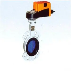 BELIMO�綯����
