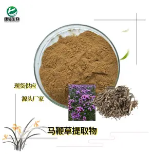 马鞭草粗提物 规格齐全现货销售 水溶马鞭草提取粉 马鞭草粉 易保存