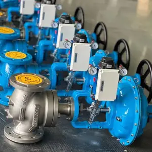 �ӱ��������� ZJHM-16P DN300������Ĥ��Ͳ���ڷ��ṹ