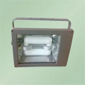 �������� SFD3000B��Яʽ������ҵ�� ±�ٵƹ�Դ 2*500W