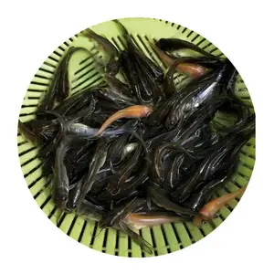 ��β�t���糧�� ��β���������ˮ������ ��β�����г�����