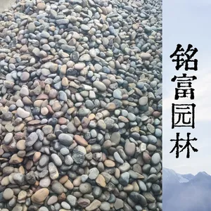 电力专用58cm鹅卵石 变电站变压器池填料 抗压耐腐蚀鹅卵石批发