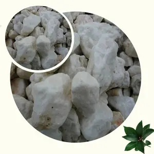 --�������� �ؾ�ʯ�� ������ؼ� �꾮���� �����Ż�