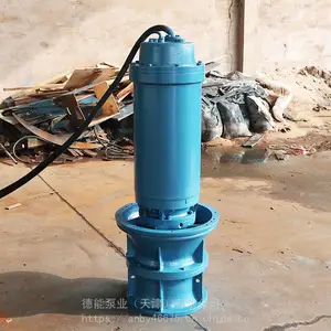 350QZB-100-45KWǱˮ�����ð�װ��ʽ