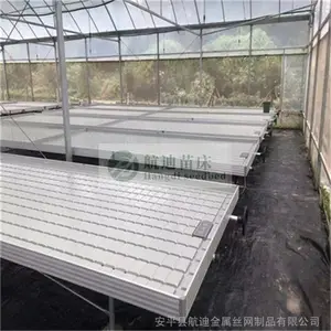 凤梨用潮汐式苗床种植能***缩短种植周期