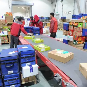 广州市 电商冷链云仓 一件代发 冷藏冷冻恒温仓库 电商仓储物流外包 全国配送