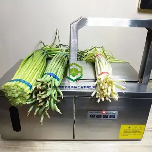小型佛香冥币捆扎机 自动省人工面包火腿肠扎捆机