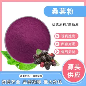 桑葚提取物 含花青素 食品饮料原料 桑葚果粉 水溶浓缩粉