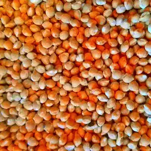 塑料薄膜造粒机 再生塑料造粒机 废旧农膜回收造粒设备 支持定制