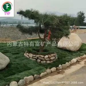 ��Ӧ����ʯ��ѹ������ʯ·��ʯ��·��·����ʯ��ˮ����