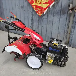 �๦���ַ����ݻ� С������΢���� ��԰����������