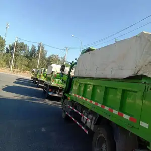 С�ػ���Է���������������,����������ʦ��