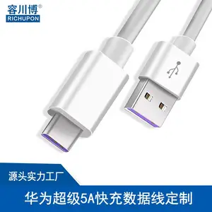 RICHUPON/�ݴ���_AI������ TYPE C2.0/3.0 USB���������