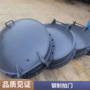���β������ˮ���� 300cm �Զ����� ˮ��վ ��Ӧ����
