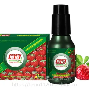河南-香甜可口的草莓需要什么来***——倍诺生物菌多效草莓专用叶面肥