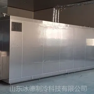厂家直销海鲜速冻机 食品速冻机 速冻隧道