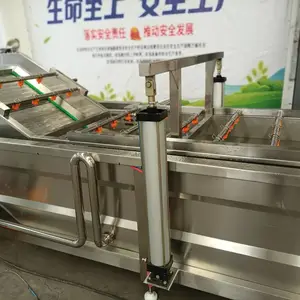 气泡蔬菜清洗机 全自动果蔬气泡清洗 联名机械定制果蔬清洗设备