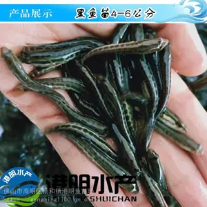 ��ũҵˮ�������������㶫��Զ���糡������ �������� �����˲������� ������