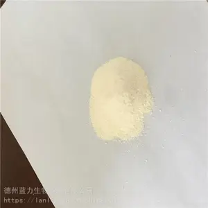 �ػʵ��� �㽺ԭ�������������� С���ӵ�����