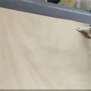 ���� �����Բ�κ��Ѿ��� װ�����