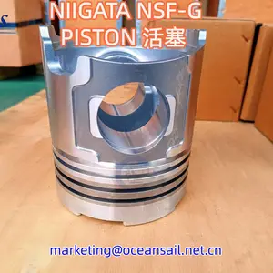 NIIGATA新泻NSF-G活塞PISTON
