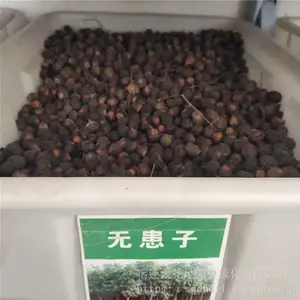 �²���ľ���� �޻������� ��ѿ*** �۸���� ***