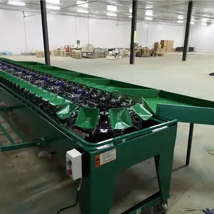 实用型甜瓜分选机 帮您省钱的小能手***