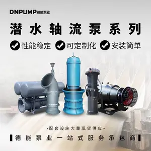 7.2022德能泵业中吸式轴流泵_潜水混流泵_泵站改造