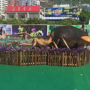 �������� ֩��ģ�� ����֩�� ����걾 ���ͷ��涯�� ֩��