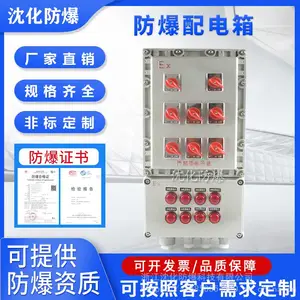 加油站防爆配电箱 IP65检修电源插座箱 照明动力配电柜