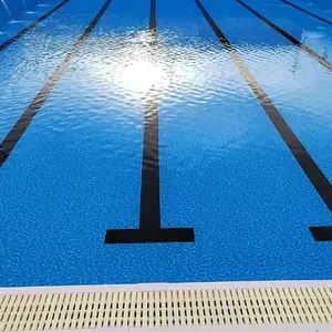 东莞市露天游泳池安装有限公司 服务至上 东莞市奔浪泳池设备供应